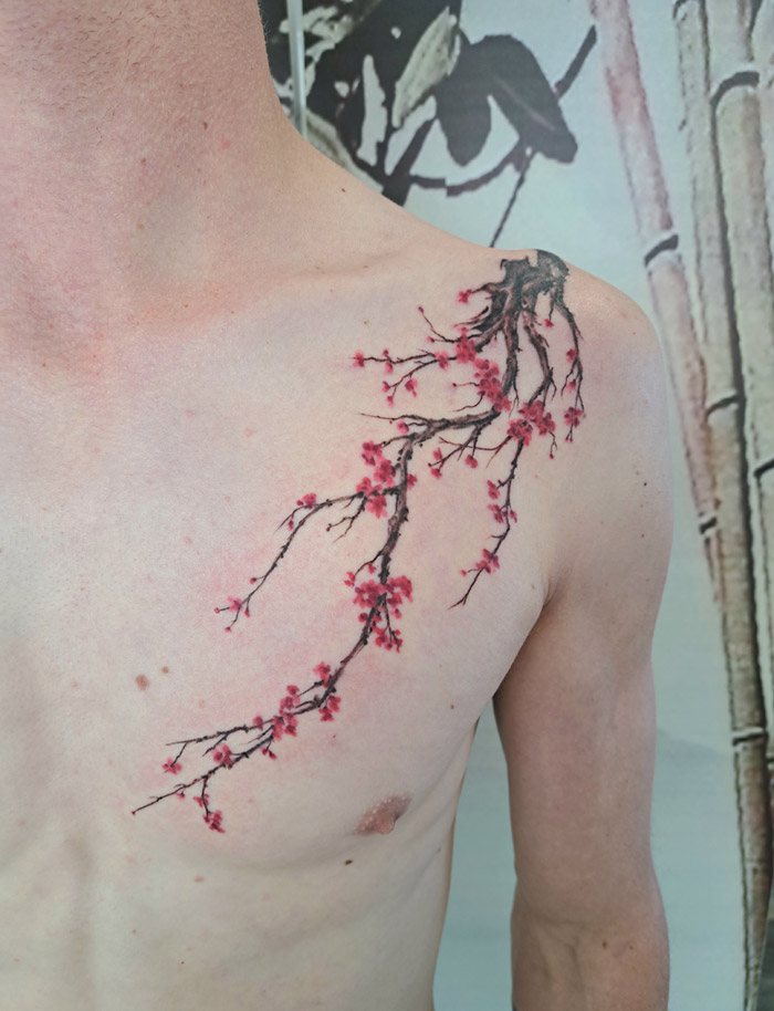 Cherry blossom branch.