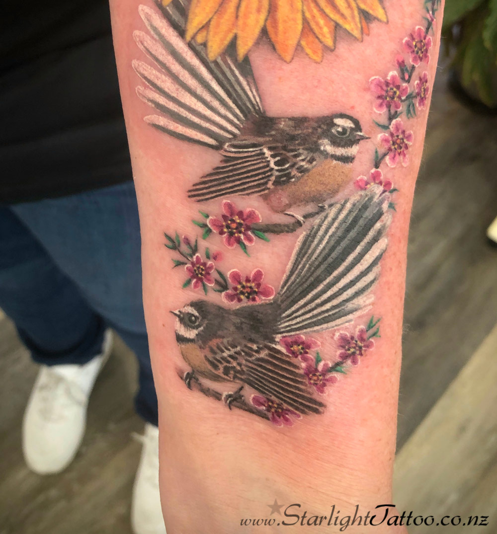 Two fantails with tea tree flowers.