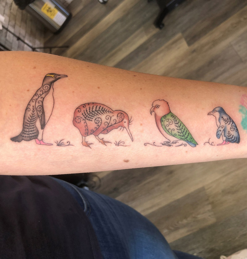 New Zealand native birds